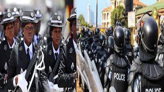 Réorganisation de la police nationale